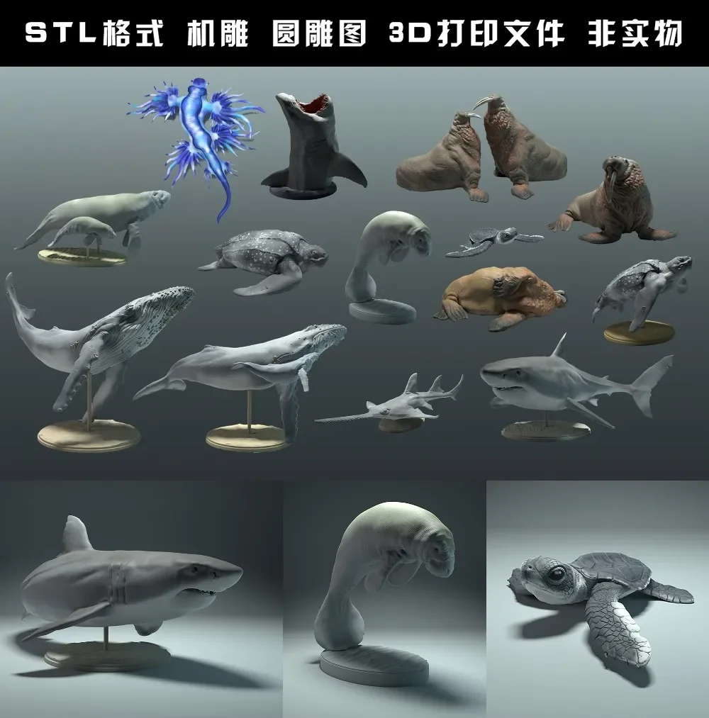 Animali, orso polare, takin, l - 3D Printing File Free recensione e prezzo